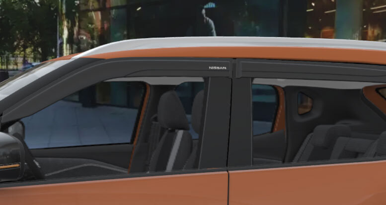 Door Visor